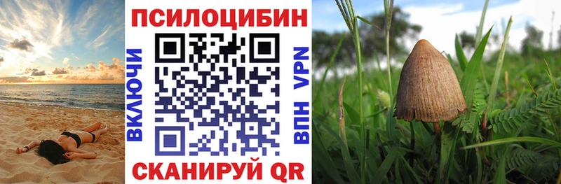 Купить закладки  Бокситогорск  Псилоцибиновые грибы MAGIC MUSHROOMS 