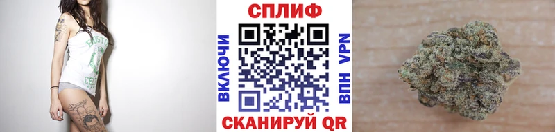 Бошки марихуана THC 21% Бокситогорск